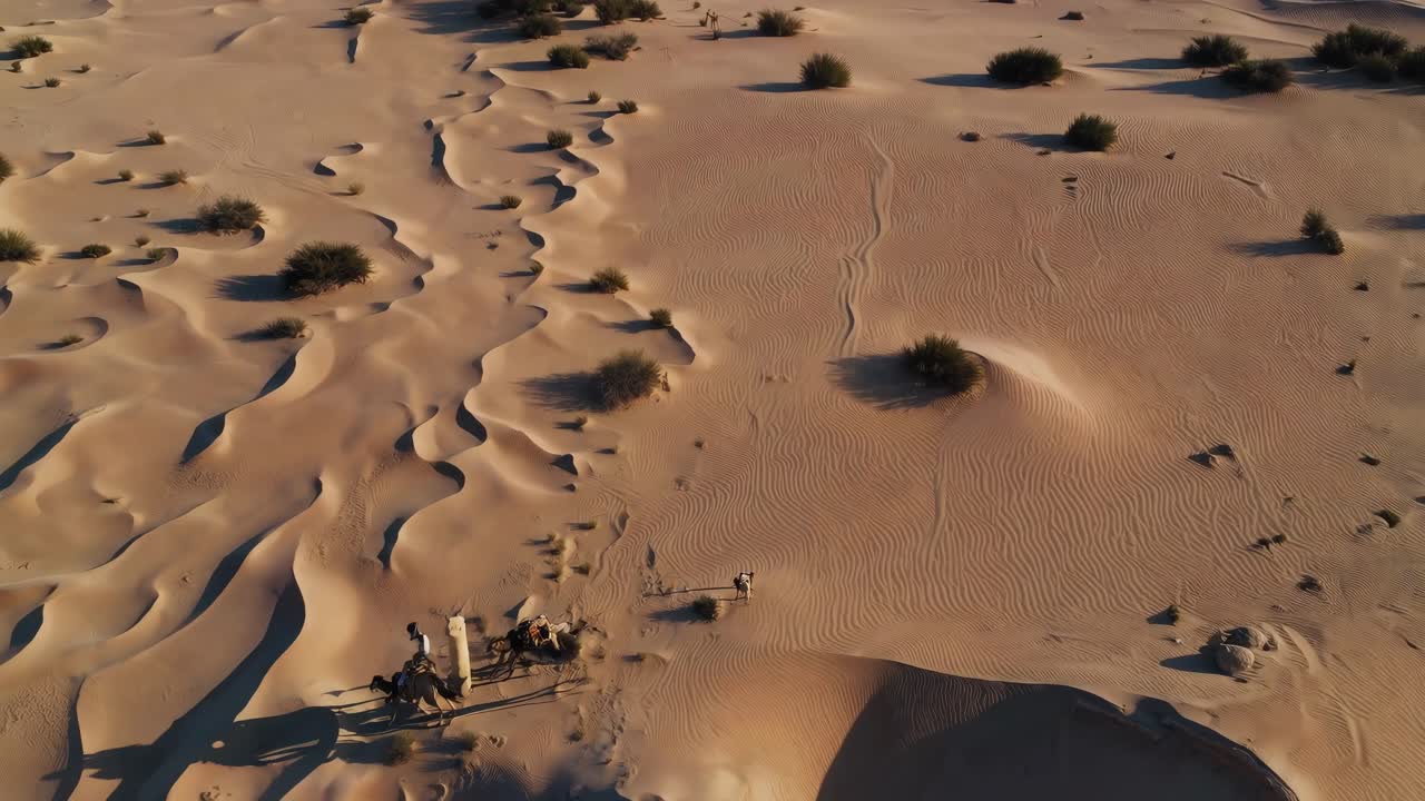 Aerial video captures vast desert landscape with rolling dunes and sparse vegetation