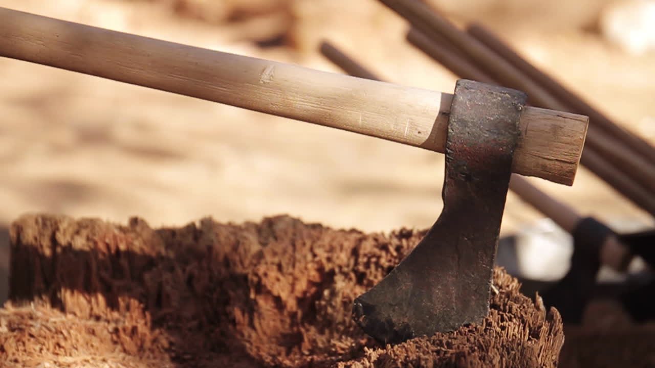 Antique Axe on a Tree Stump