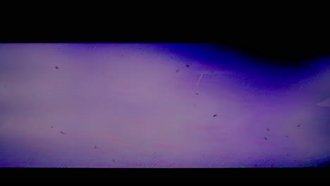 real recordings of vhs weak signal glitches overlay