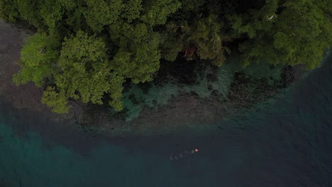 a steady drone shot of a young tourist swimming alone next to the shore of an island with lush greenery and a colorful coral reef next to it