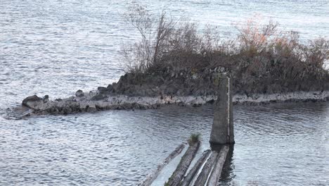 gleaming river flowing around small isle and water measuring scale