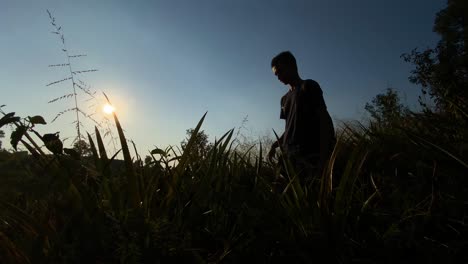 Silhouetted-young-man-wondering-through-high-grass-vegetation-at-sunset,-low-angle