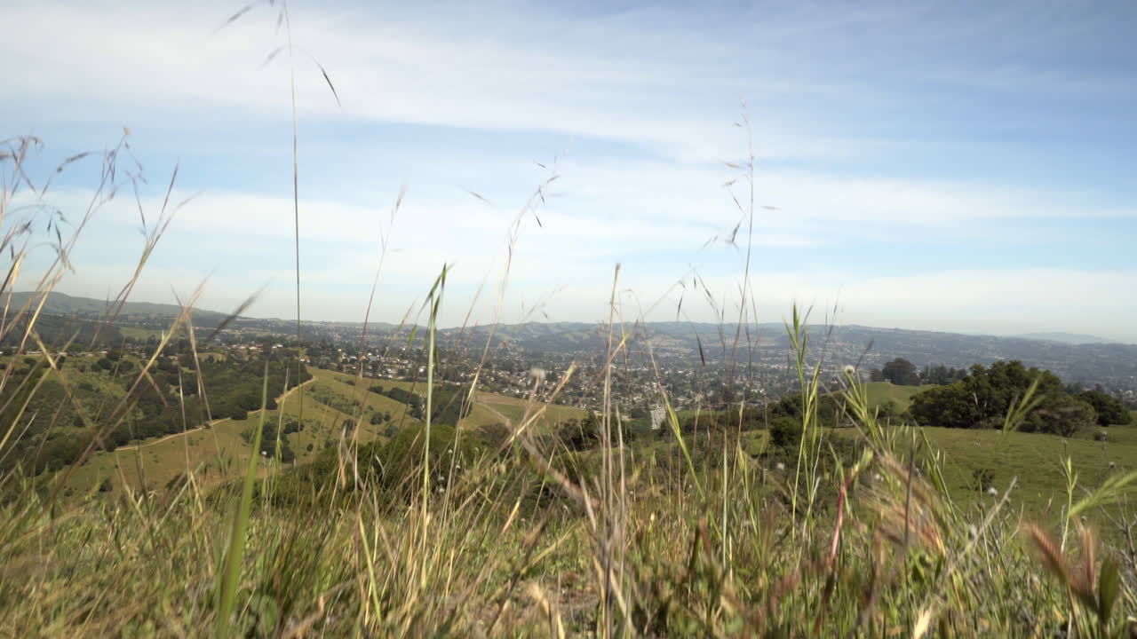 캘리포니아 카스트로 밸리의 도시 전망