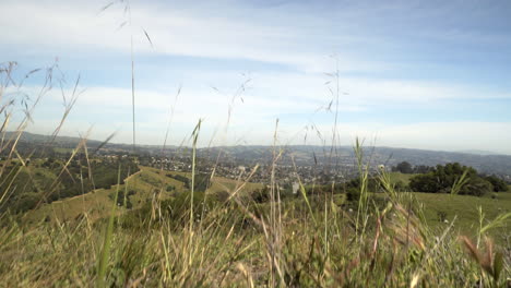vista de la ciudad del valle de castro, california