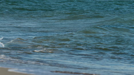 una sola ola oceánica con la luz del sol reflejada en el agua