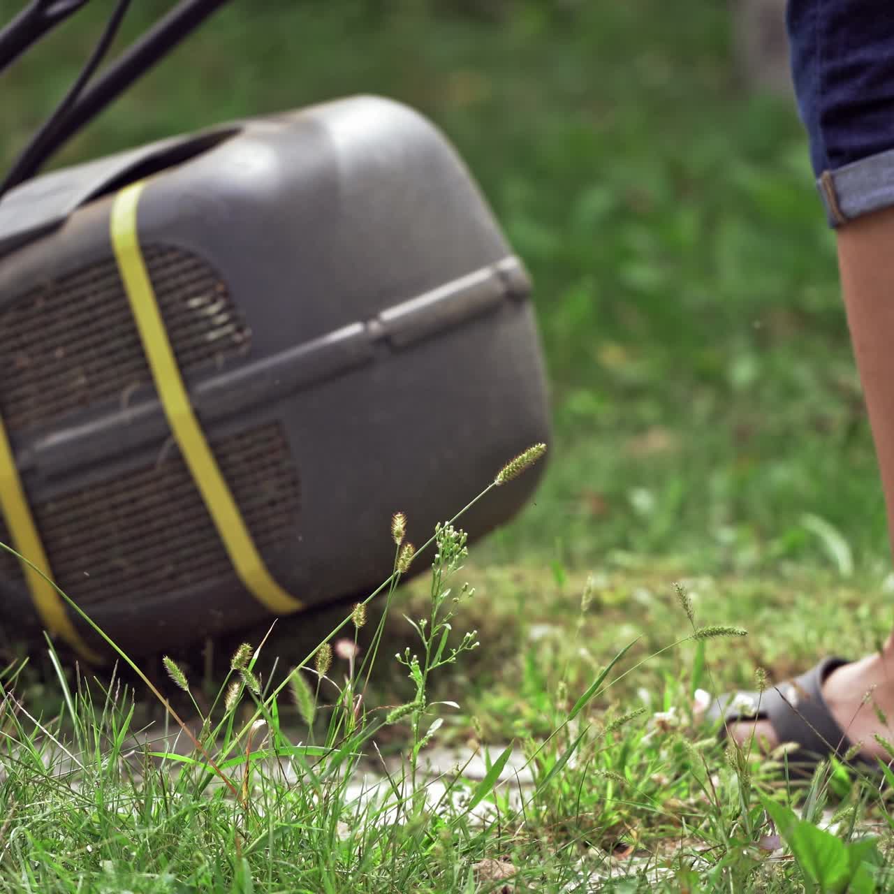 잔디를 는 사람