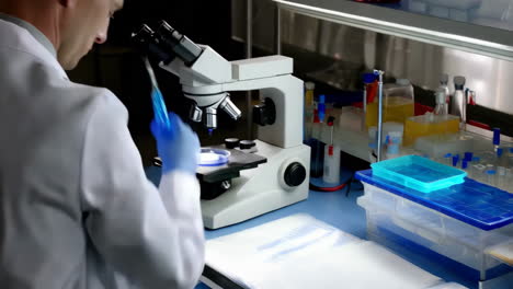 científico usando el microscopio en un laboratorio