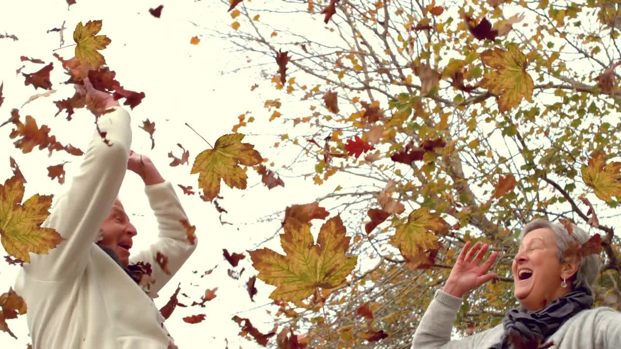 animación de hojas de otoño que caen sobre una feliz pareja de ancianos en el parque