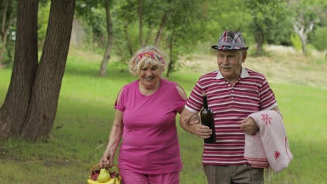 family weekend picnic. active senior old grandparents couple in park. husband and wife walk together