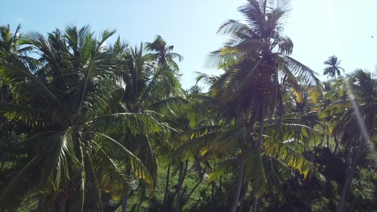 itacare, brasil por drone 4k océano atlántico brasileño desde el cielo-3