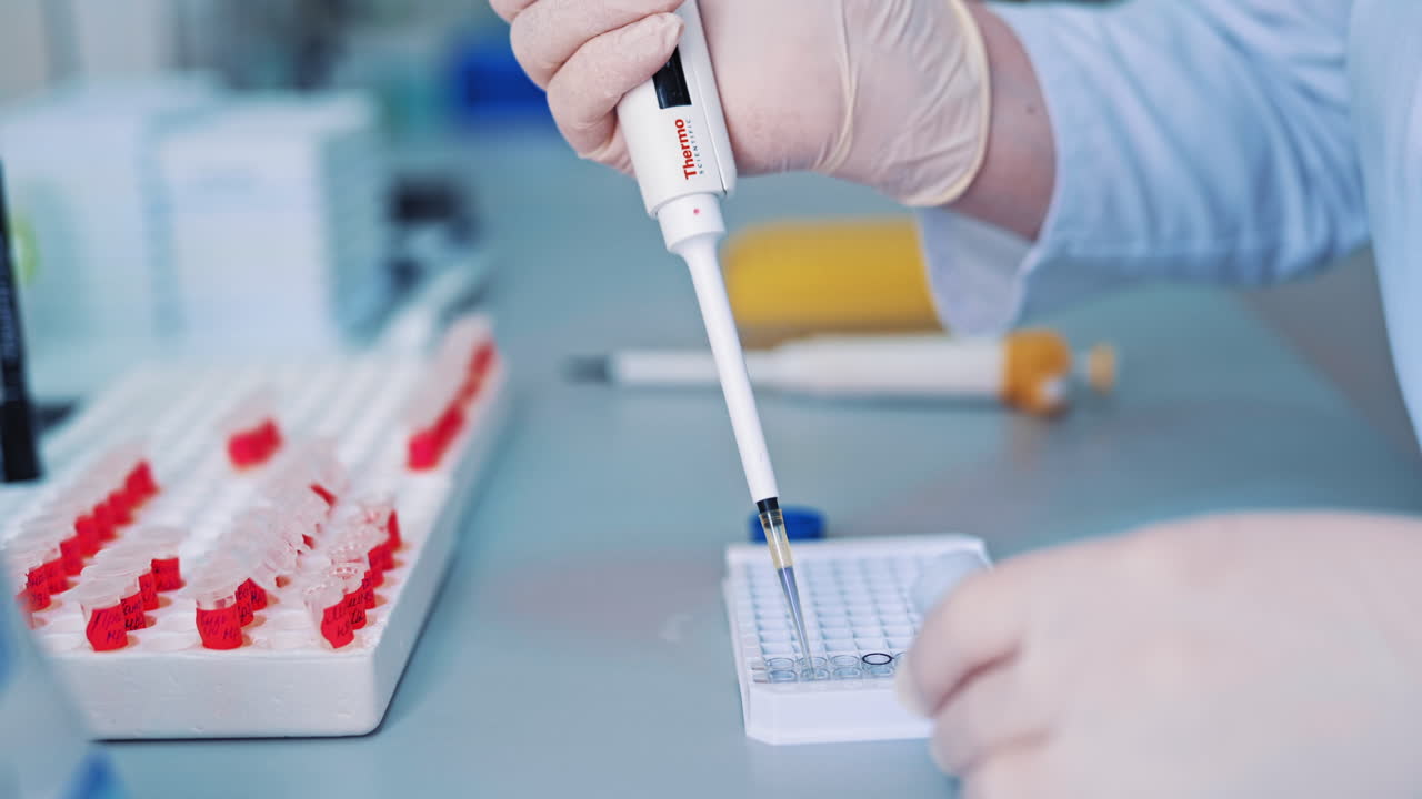 Laboratory scientist conducting research. Scientist hands with dropper examining samples and liquid