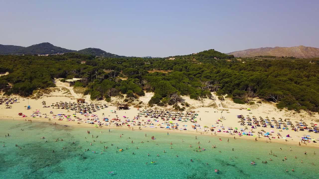 Cala agulla beach with crowds enjoying the sun and clear waters, summer vibe, aerial view