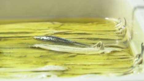anchovies in oil