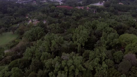 Drone-Volando-Sobre-Un-Bosque-Y-Descubriendo-El-Horizonte-De-Kuala-Lumpur-Malasia-Muy-Atrás