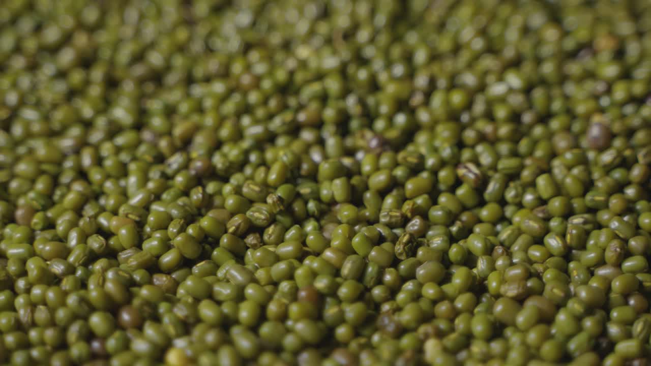 Mung beans is a beneficial food that is used in cooking