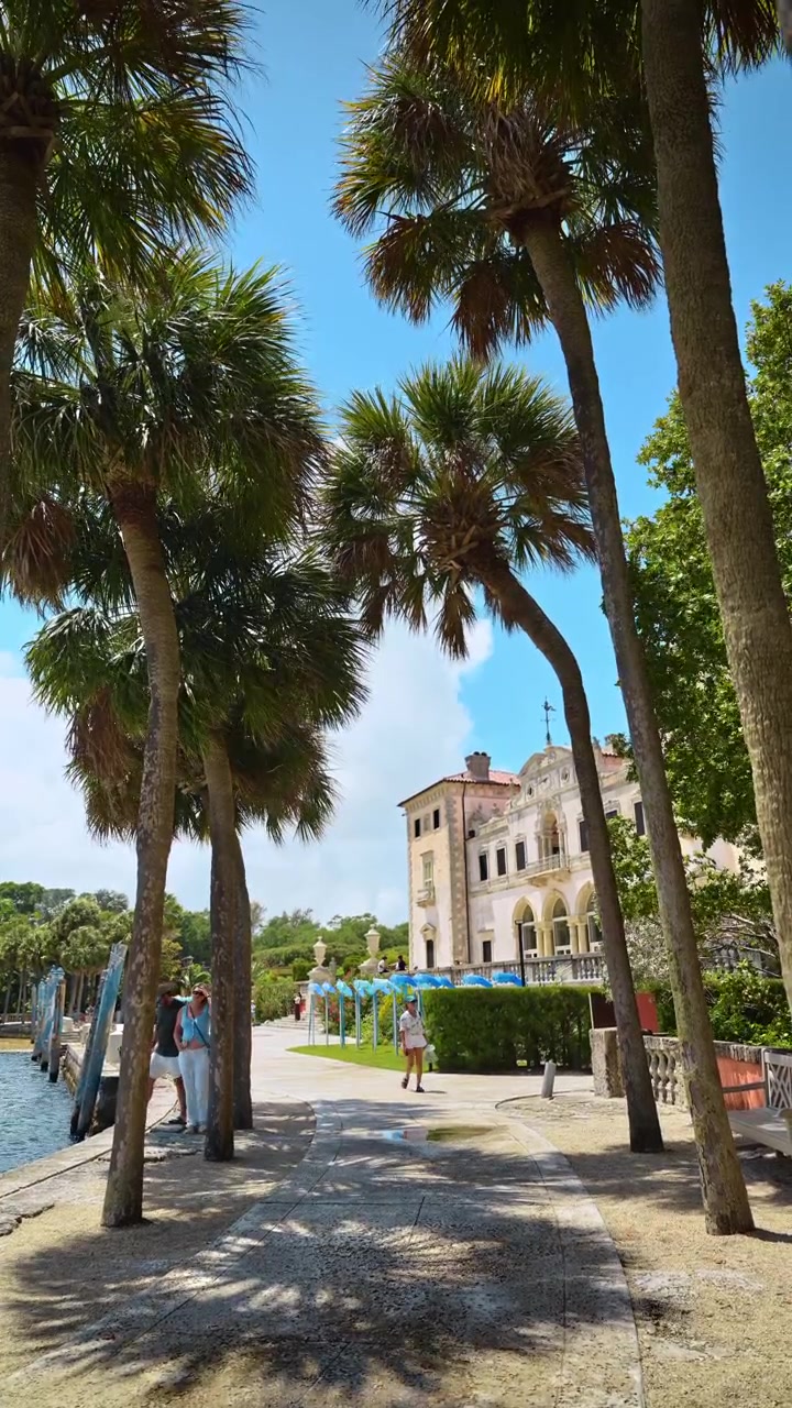 Miami, USA, 16 aprile 2026: Sentiero fiancheggiato da palme accanto alla Vizcaya Mansion a Miami. Sentiero fiancheggiato da palme accanto a una villa storica, bordo lungomare, ombre e cielo blu a Miami