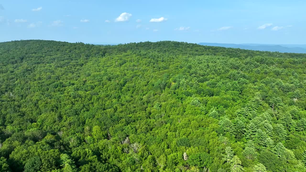 Expansive aerial view of dense woodland and undulating tree-covered hills
