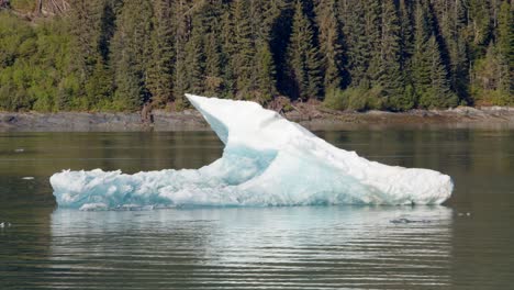 brazo endicott, alaska, iceberg flotando en el fiordo brazo endicott