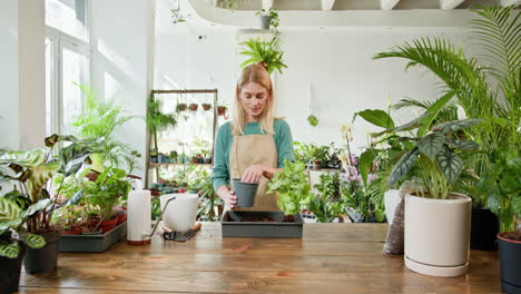 woman repotting a plant in a flower shop