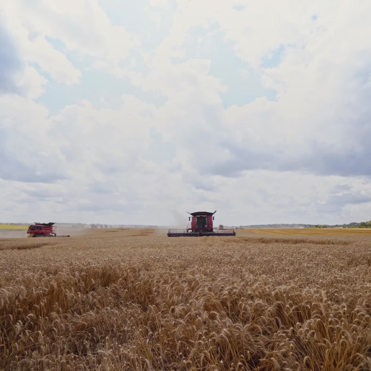 Grain harvesting equipment in the field. Harvesting season