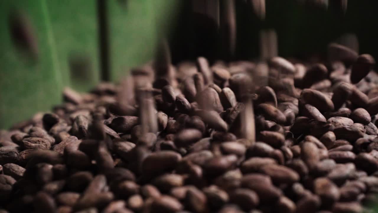 Closeup Of Roasted Cocoa Beans Falling Into Heap In Green Bucket