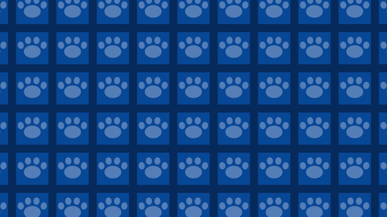 Blue Paw Print Pattern