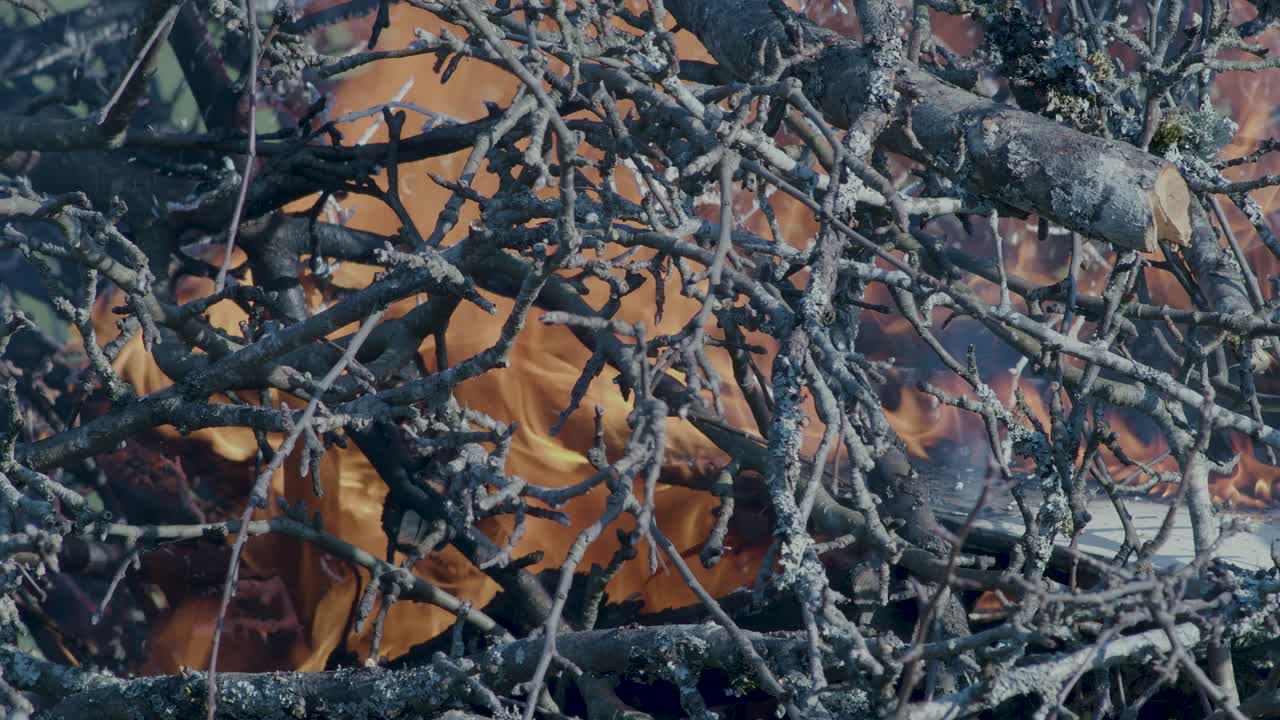 Burning pile stack of tree branches close up time lapse