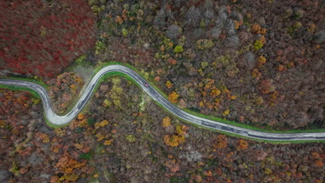 aerial view of winding road through autumn forest