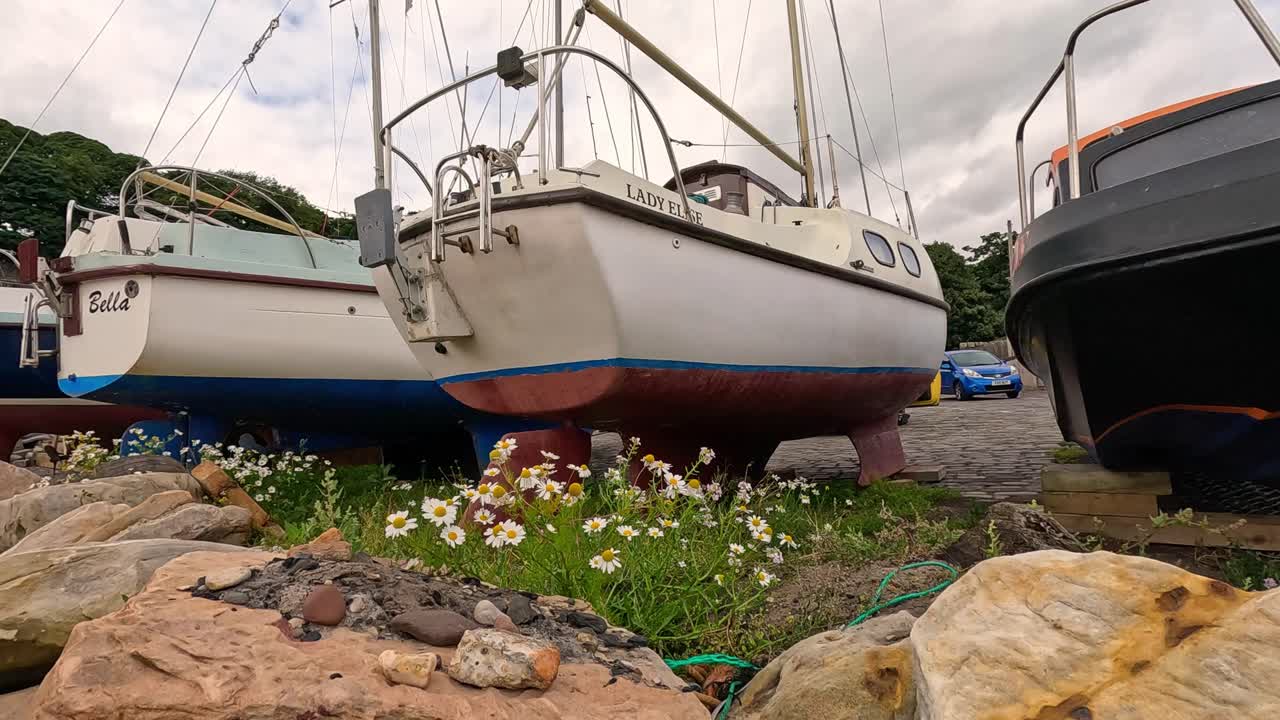 barcos atracados con flores y rocas en primer plano