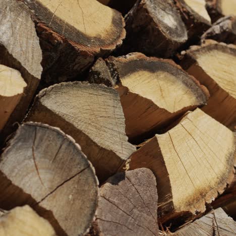 madera de roble para la chimenea