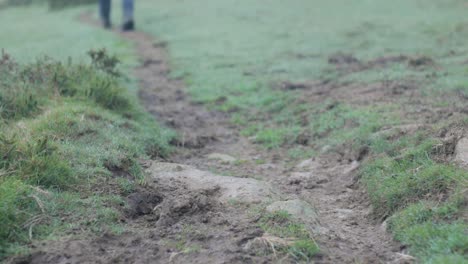 Nahaufnahme-Der-Füße,-Die-Auf-Dem-Weg-Wandern