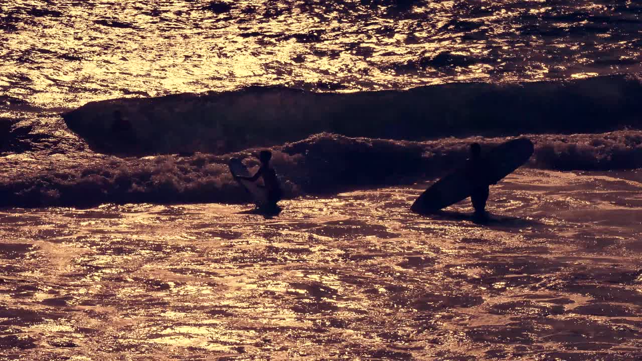 해가 지면 파도를 잡는 서퍼 들