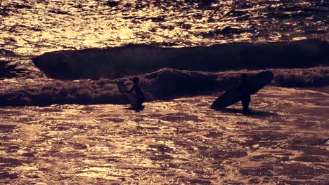 surfistas atrapando olas al atardecer