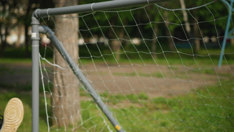 a close-up shot of a goal post captures the moment as a ball is shot into the net, with someone's leg partially visible and a backdrop of trees in a grassy field