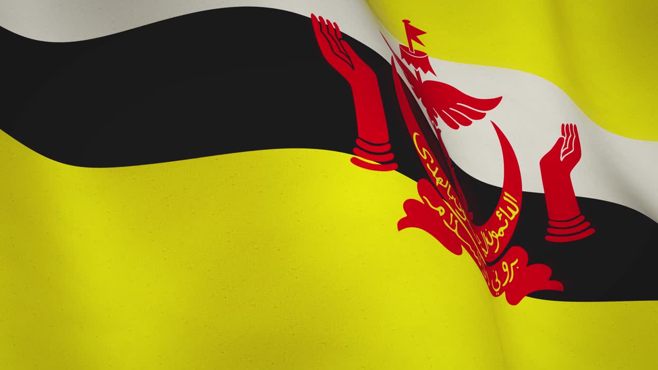 브루나이 발을 흔드는 영상 배경 추상적인 기호 - 원활한 비디오 애니메이션 루프