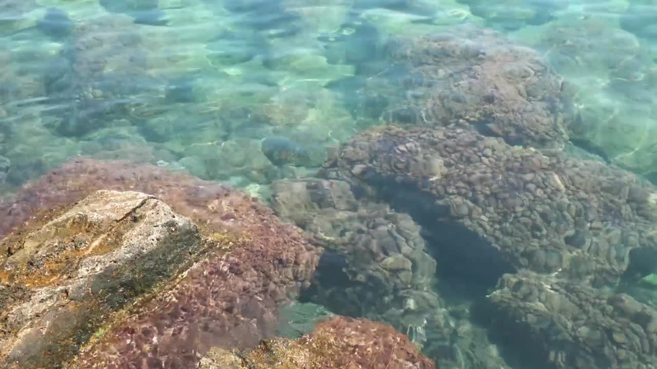 en una orilla rocosa del mar