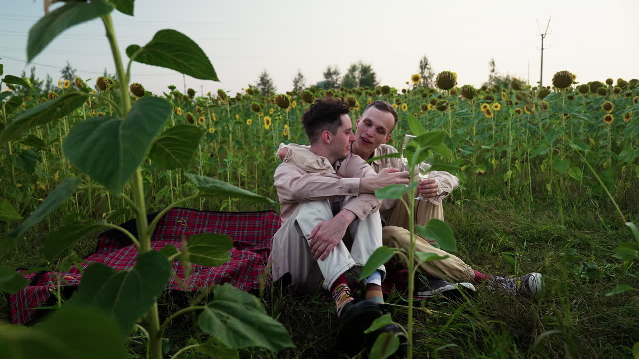 Couple doing a picnic in a sunflower field
