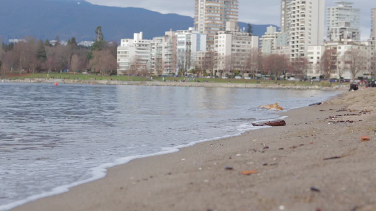 북극곰 2019 행사 기간 동안 밴쿠버 다운타운 근처의 잉글리시 베이에서 다양한 드론 촬영