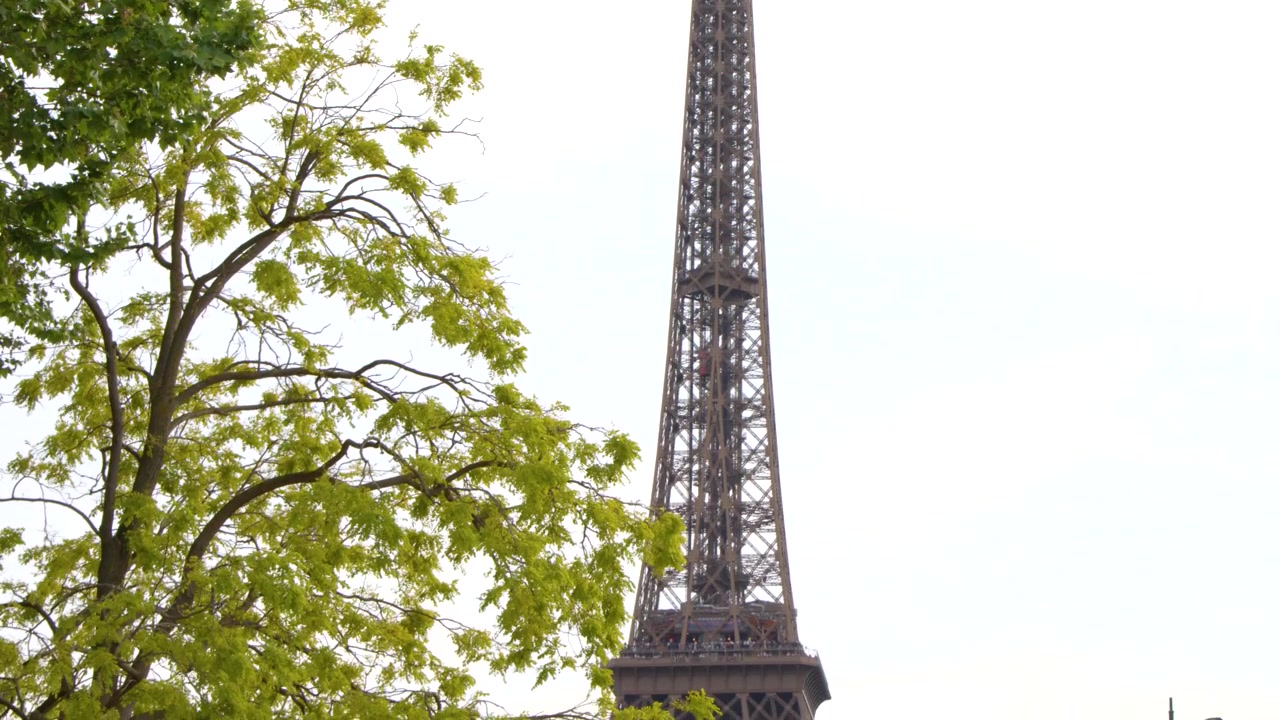 Una lenta inclinazione verticale verso il basso rivela l'iconica torre in traliccio di ferro dietro alberi verdi e lussureggianti.