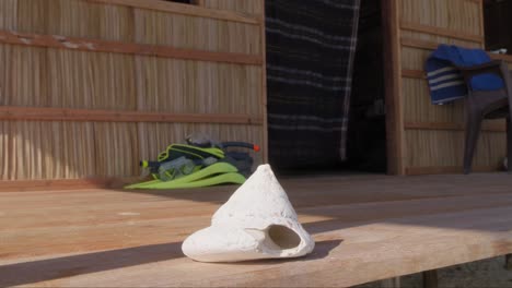 close-up of a seashell on a wooden deck, with snorkeling gear in the background, set in a rustic hut on kri island, raja ampat, indonesia