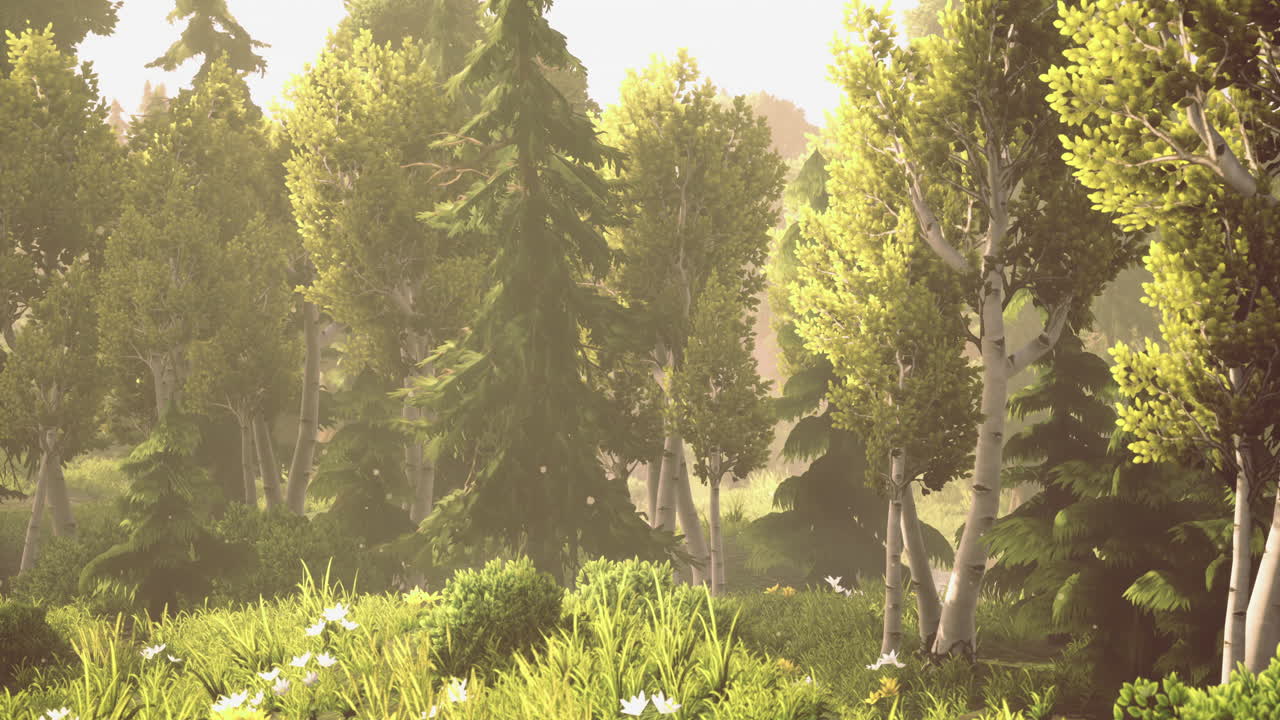 Sunlight filters through lush green trees in a serene forest landscape