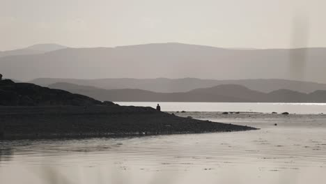 silhouettes a person and dog strolling along the rocky beach of a norwegian fjord