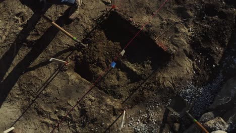 people digging in the dirt in a forest