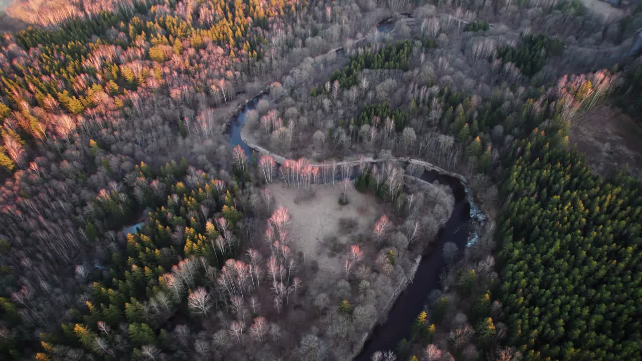En slingrande flod med smältvatten reflekterar de höga, kala, smala träden och gröna barrträden i en stor skog belyst av den nedgående solen i Litauen.