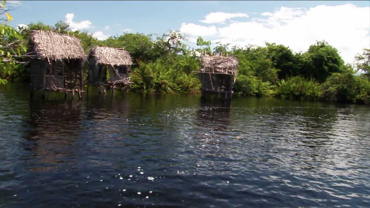 기둥 위에 있는 초가집은 열대 강 지역에 서 있습니다.