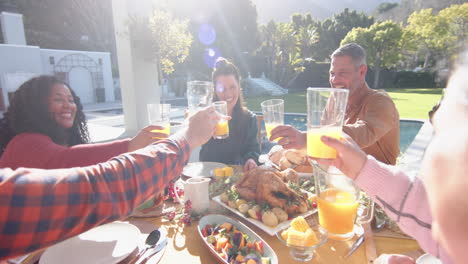 Felices-Y-Diversos-Amigos,-Hombres-Y-Mujeres,-Brindando-En-La-Comida-De-Celebración-En-El-Soleado-Jardín.