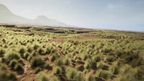 una vista panorámica de un prado con montañas en el fondo