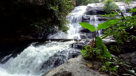 picturesque waterfall in green jungles. doi inthanon national park, chiang mai region, thailand, able to loop