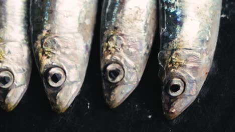 fresh anchovies
