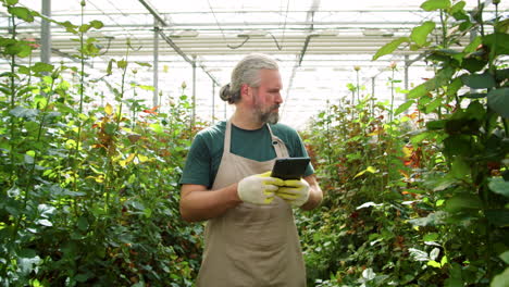Mature-Male-Florist-Using-Tablet-and-Checking-Flowers-in-Greenhouse